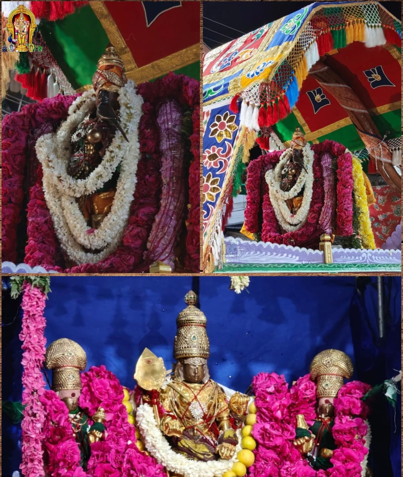 திருச்செந்தூர் முருகன் கோவிலில் ஆவணித்திருவிழா