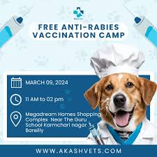 வெறிநாய்க்கடி நோய் தடுப்பூசி முகாம்: