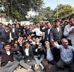 போலி வழக்கறிஞர்கள் எண்ணிக்கை அதிகரிப்பு!