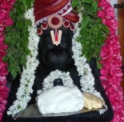 சிதம்பரம் கீழ வீதியில் உள்ள வீரசக்தி ஆஞ்சநேயர் ஆலயத்தில் இன்று சனிக்கிழமையை முன்னிட்டு சிறப்பு வழிபாடு