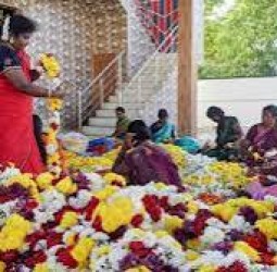 ஆடி மாத சப்தாகம் பூஜை: சோட்டானிக்கரை கோயில் காணிக்கையாகும் நிலக்கோட்டை மலர்கள்!