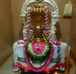 பிரதோஷ அலங்காரத்தில் அருள்பாலிக்கும் சர்வலிங்கேஸ்வரர்