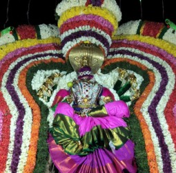 செய்யாறு அருகே அனக்காவூரில் அருள்மிகு ஸ்ரீ ரேணுகாம்பாள் கோயில் கூழ்வார்க்கும் திருவிழா கோலாகலம்: