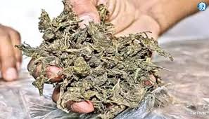 திருவல்லிக்கேணி பகுதியில் கஞ்சா சாக்லேட்: 4 பேர் கைது