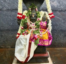 ஸ்ரீலட்சுமி நரசிம்மருக்கு சிறப்பு பூஜைகள்..!