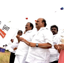 சர்வதேச பட்டம் விடும் விழா