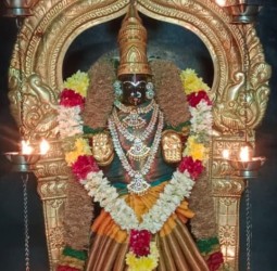 ஸ்ரீ கன்யகா பரமேஸ்வரி அம்மன் அலங்காரத்தில் சிறப்பு வழிபாடு