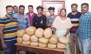 சென்னை, கோவை ரெயில்களில் 30 கிலோ கஞ்சா பறிமுதல்