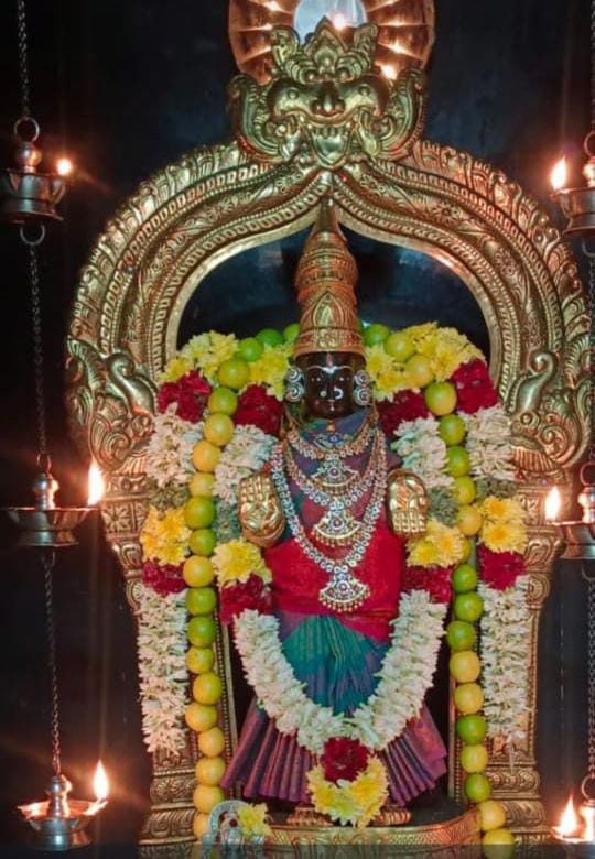 ஸ்ரீ வாசவி கன்யகா பரமேஸ்வரி அம்மன் இன்றைய அலங்காரத்தில் அருள்பாலிக்கும் காட்சி
