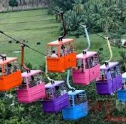 பழனியில் ரோப் கார் சேவை: நாளை மீண்டும் தொடக்கம்