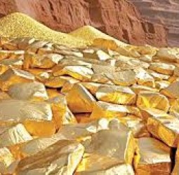 ஒடிசாவின் நான்கு முக்கிய மாவட்டங்களில் தங்க வயல்: 20 டன் அளவுக்கு தங்கம் இருக்கலாம் என மதிப்பீடு