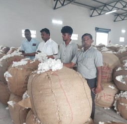 வலங்கைமான் ஒழுங்குமுறை விற்பனை கூடத்தில் நடைபெற்ற மறைமுக ஏலத்தில் அதிகபட்சமாக பருத்தி குவிண்டால் ரூ.8 ஆயிரத்துக்கு ஏலம்