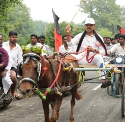 துணை முதல்வர் உதயநிதி ஸ்டாலின் பிறந்தநாளையொட்டி மாட்டு வண்டி, குதிரை வண்டி பந்தயம்