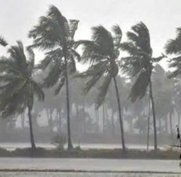 புயலுக்குப் பின்