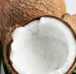 வெறும் வயிற்றில் தேங்காய் சாப்பிடுவதால் கிடைக்கும் நன்மைகள்