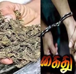 தூத்துக்குடி, கோவில்பட்டியில் கஞ்சா விற்ற கல்லூரி மாணவர் உட்பட 4 பேர் கைது