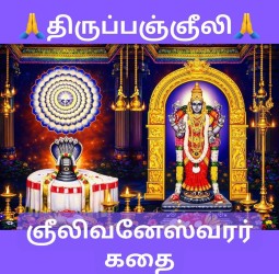 திருப்பஞ்ஞீலி (திருப்பைஞ்ஞீலி), அருள்மிகு விசாலாட்சி அம்மன் உடனுறை ஞீலிவனேஸ்வரர் திருக்கோயில்