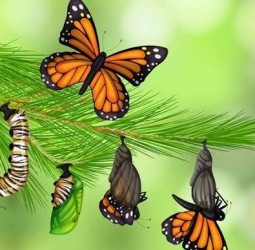 பழகப் பழகப் பணிவு வரும்