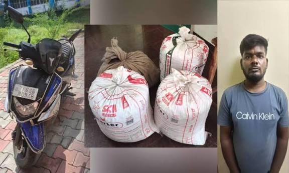 இலங்கைக்கு கடத்த முயன்ற ரூ.1 கோடி மதிப்பிலான கஞ்சா பறிமுதல்: வாலிபர் கைது