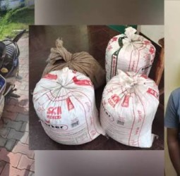 இலங்கைக்கு கடத்த முயன்ற ரூ.1 கோடி மதிப்பிலான கஞ்சா பறிமுதல்: வாலிபர் கைது