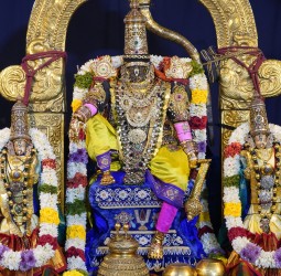 ஸ்ரீபார்த்தசாரதி கோயிலில் வைகுண்ட ஏகாதசி திருவிழா