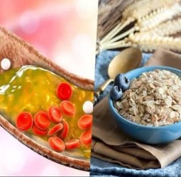 மாத்திரை வேண்டாம்! கெட்ட கொழுப்பை கரைக்க 7 மேஜிக் வழிகள்!