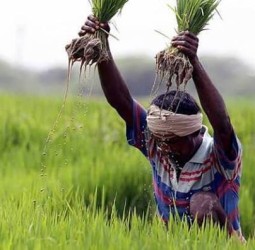 விவசாயிகள் (உழவர்) நலம் காப்போம்