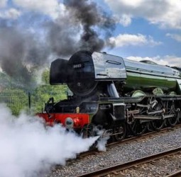 நீராவி...