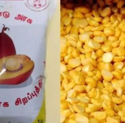 பாமாயில், பருப்பு கொள்முதலுக்கு ஒப்பந்தம் கோரியது அரசு