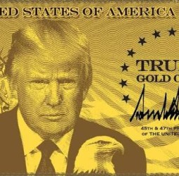 ட்ரம்ப்பின் ‘கோல்டு கார்டு’ விசா திட்டத்துக்கு எதிர்ப்பு: அமெரிக்காவின் 20 மாகாணங்கள் வழக்கு!