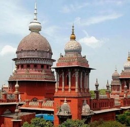 யானை வழித்தடங்களை பிப்ரவரிக்குள் அறிவிக்க வேண்டும்: அரசுக்கு உயா் நீதிமன்றம் கெடு