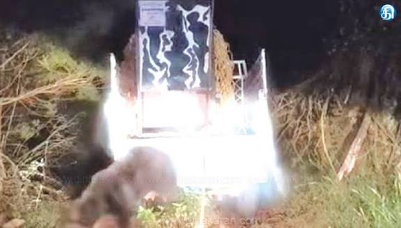 குன்னூரில் கடந்த ஒரு ஆண்டாக அட்டகாசம் செய்த கரடி கூண்டில் சிக்கியது