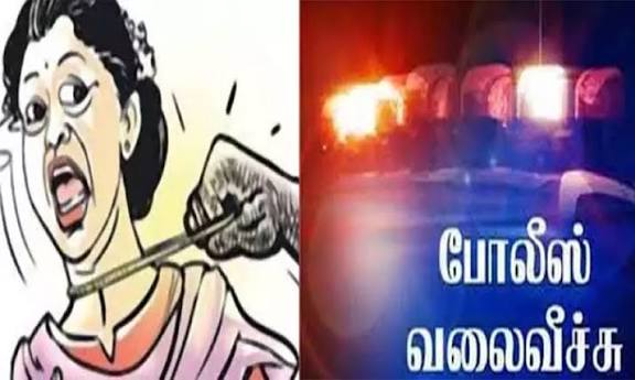 இளம்பெண் முகத்தில் மிளகாய்ப்பொடி தூவி நகை பறிக்க முயற்சி: மர்ம நபர்களுக்கு போலீஸ் வலைவீச்சு