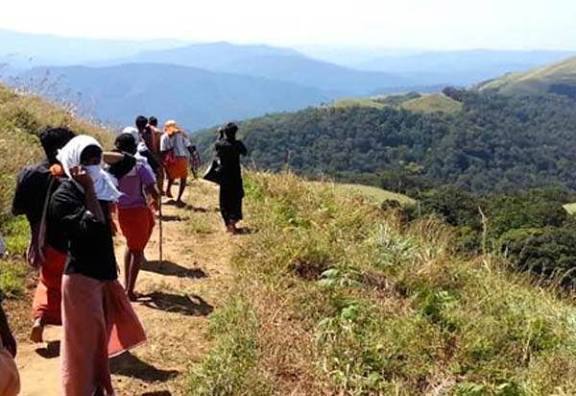 புல்மேடு பாதையில் பக்தர்களுக்கு கட்டுப்பாடு