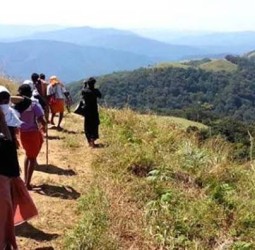 புல்மேடு பாதையில் பக்தர்களுக்கு கட்டுப்பாடு