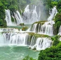 பசுமையை நேசி