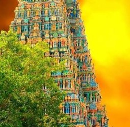 ஆ ......லயம் ஆலயம்