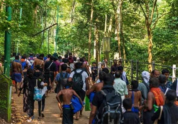 சபரிமலையில் 22 நாட்களில் 95 பாம்புகள் பிடிபட்டன