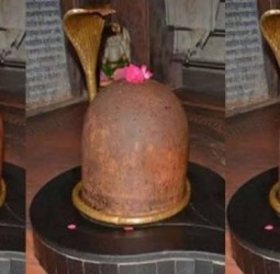 ஒரே நாளில் ஐந்து நிறங்களில் அருள்பாலிக்கும் அதிசய லிங்கம்