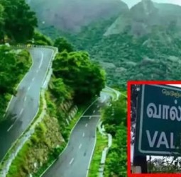 வால்பாறையில் மனித–விலங்கு மோதலை தடுக்க சிறப்புக்குழு நியமனம்: 2 வாரத்தில் அரசுக்கு அறிக்கை தாக்கல்