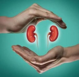 சிறுநீரகம் ஆரோக்கியமாக இருக்கணுமா..? இந்த பழக்கங்களை எல்லாம் மாத்துங்க..!