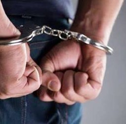 அமெரிக்காவில் சட்டவிரோதமாக தங்கியிருந்த 30 இந்தியர் கைது