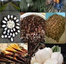 மரம் நம்மை வாழ வைக்கும்