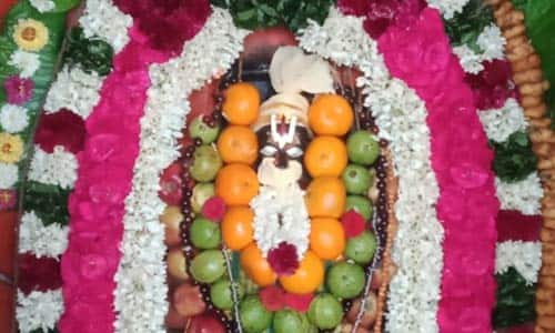 திட்டக்குடியில் ஸ்ரீ பக்த ஆஞ்சநேயர் கோவிலில் அனுமன் ஜெயந்தி விழா