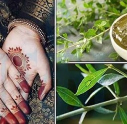 மருதாணியின் மருத்துவ குணங்கள்!