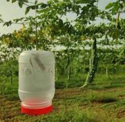 ஈரத்தை அறிந்து செயல்படும் நானோ களைக்கொல்லி கண்டுபிடிப்பு: வேளாண் பல்கலைக்கழகத்துக்கு காப்புரிமை