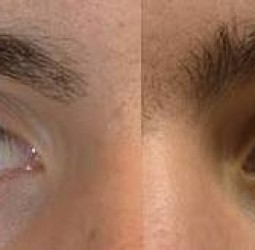 ஆண் பிறவி !