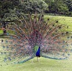 பார்வை எதுவோ