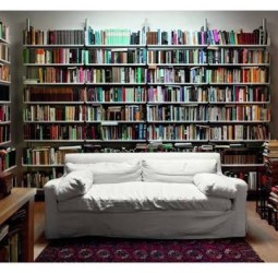 தற்பெருமைக்காரனின் வீட்டு நூலகம்!