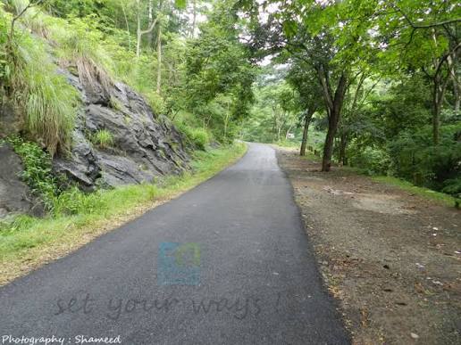 பாதை மாறியது